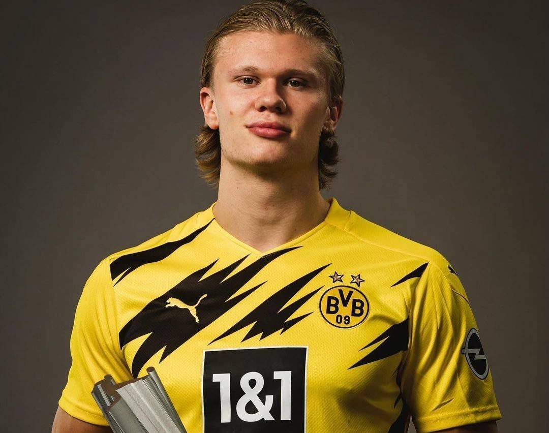 向舞台中央 向舞台中央